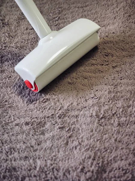 Professional carpet cleaning technicians at work